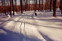 Ski Bose's Road