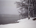 Winter Shore