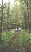 Woods